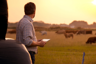 Agropecuária Grama Roxa Ltda