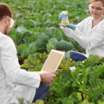 A agronomia prepara profissionais focados em resultado, sem perder o equilíbrio entre técnica e responsabilidade, como afirma Alfredo Moreira Filho.