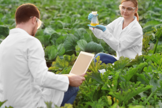 A agronomia prepara profissionais focados em resultado, sem perder o equilíbrio entre técnica e responsabilidade, como afirma Alfredo Moreira Filho.