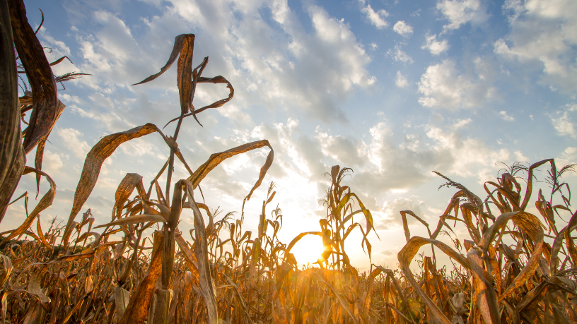 Escolas como laboratórios ambientais a partir da educação climática com dados segundo Gustavo Adolfo Morceli Rodrigues.