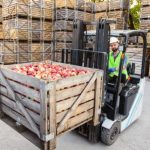 Parajara Moraes Alves Junior