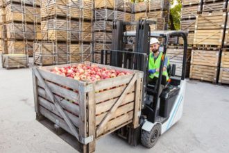 Parajara Moraes Alves Junior