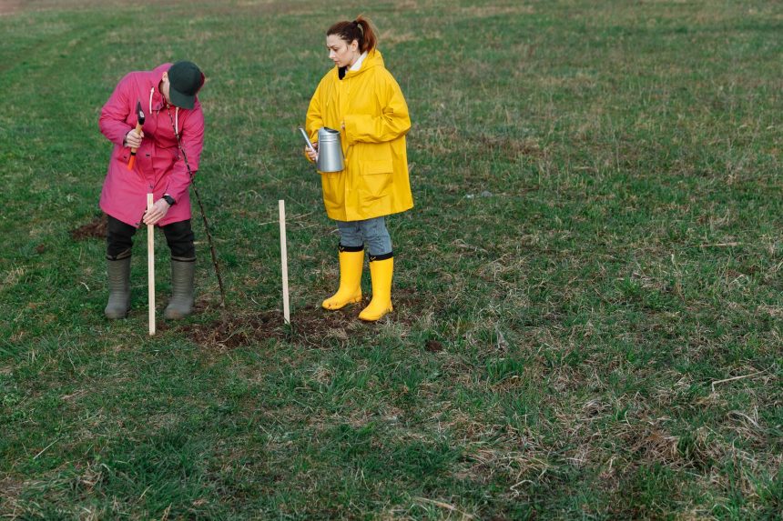 Dois voluntários plantam mudas de árvores em uma área gramada, usando capas de chuva coloridas e botas.