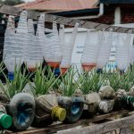 Horta vertical com plantas cultivadas em garrafas plásticas reaproveitadas ao ar livre